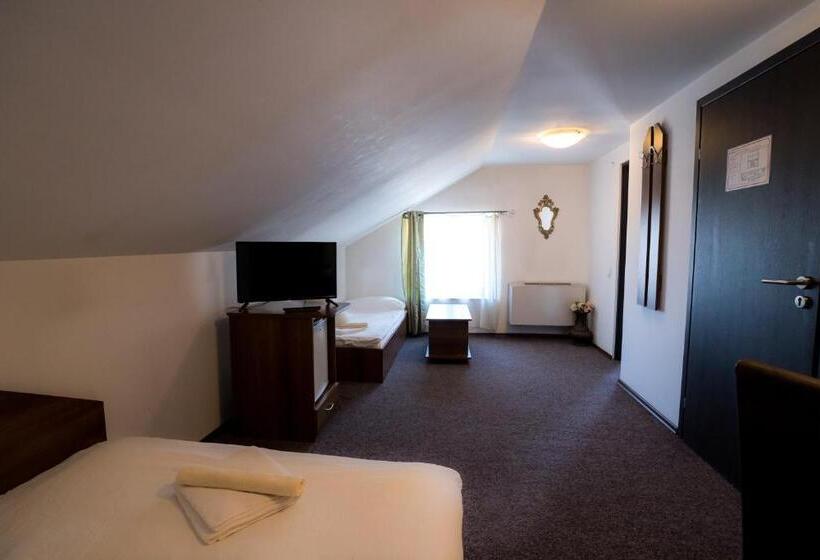 ホテル Pensiunea Dacia Deva