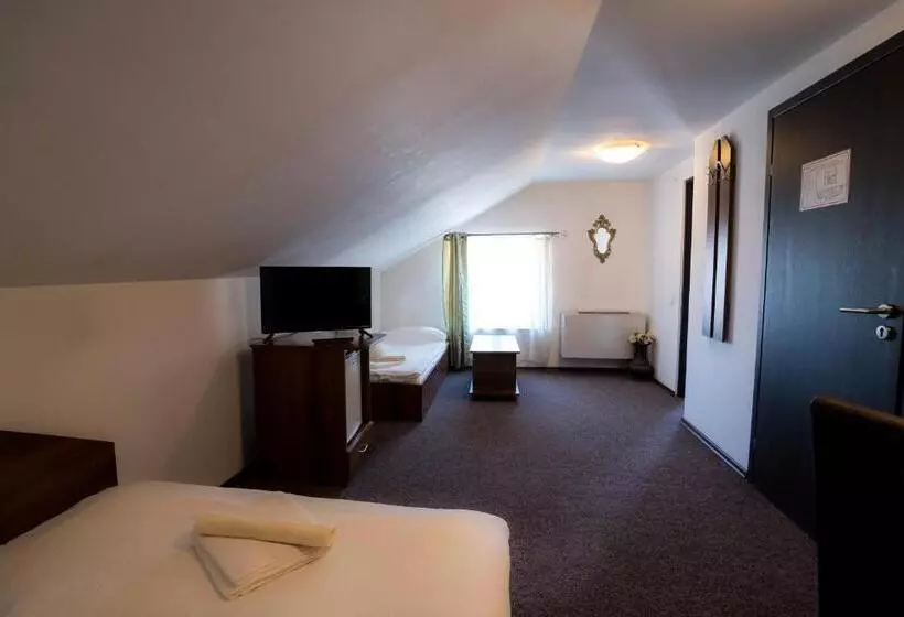 Hotel Pensiunea Dacia Deva