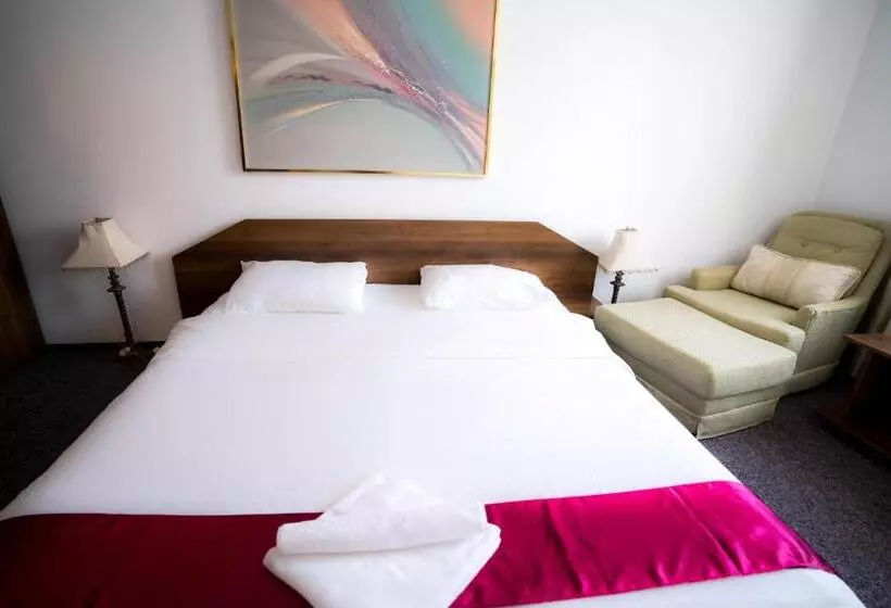 Hotel Pensiunea Dacia Deva