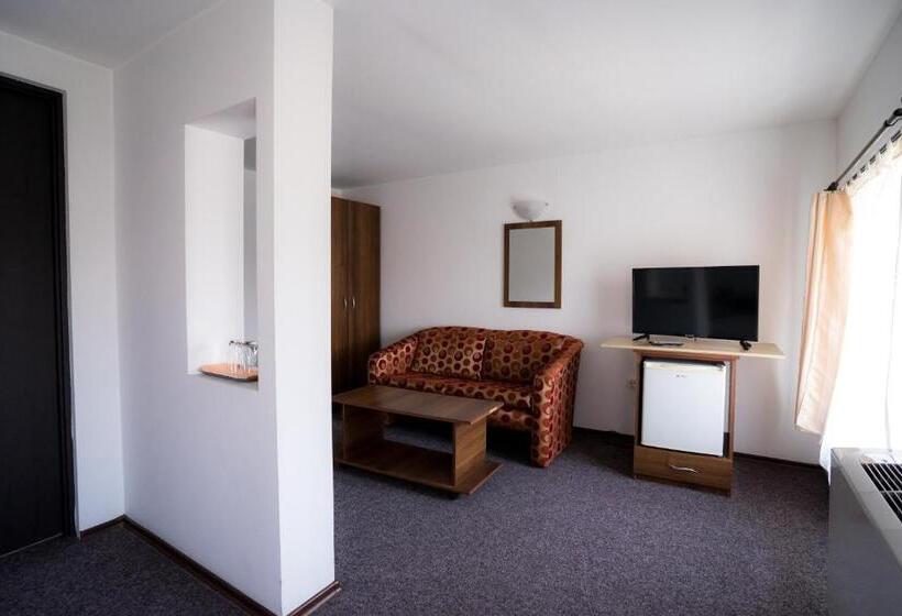 ホテル Pensiunea Dacia Deva