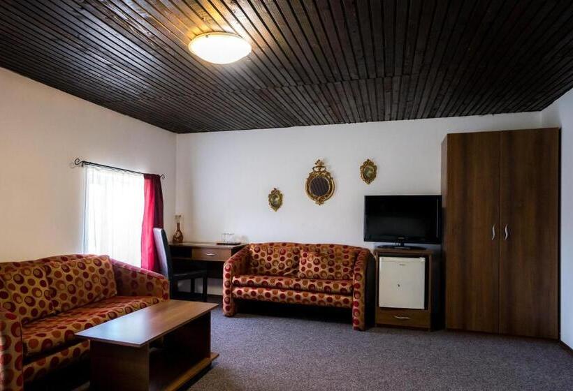 ホテル Pensiunea Dacia Deva