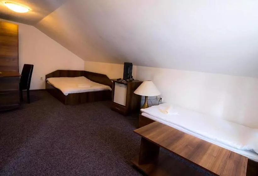 Hotel Pensiunea Dacia Deva