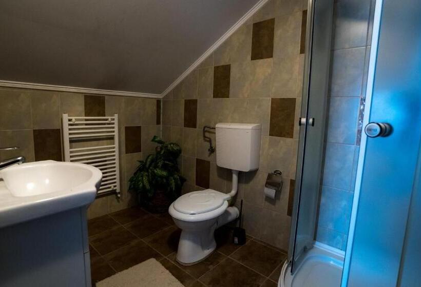 Szálloda Pensiunea Dacia Deva