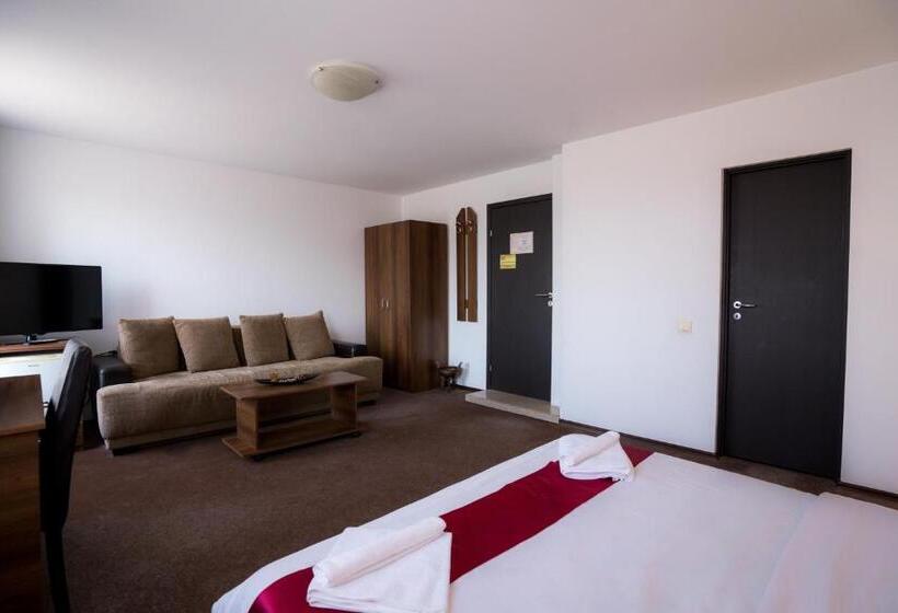 ホテル Pensiunea Dacia Deva