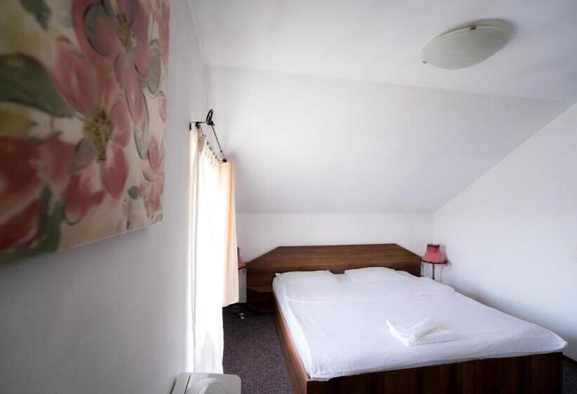 ホテル Pensiunea Dacia Deva