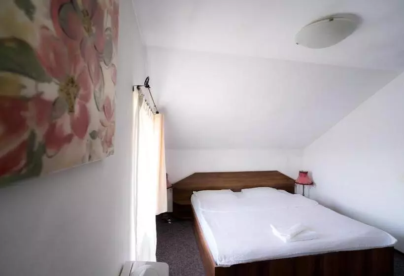 Hotel Pensiunea Dacia Deva
