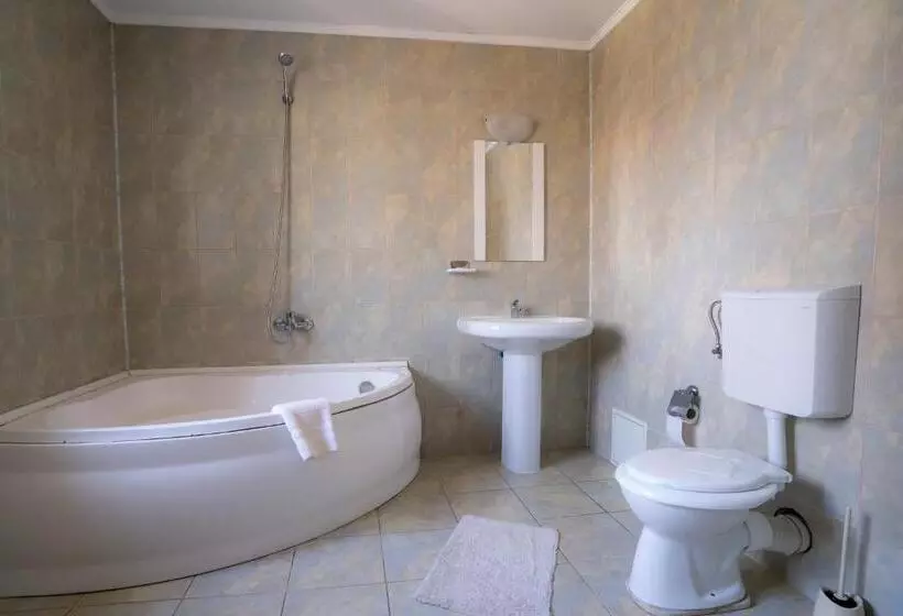 Hotel Pensiunea Dacia Deva