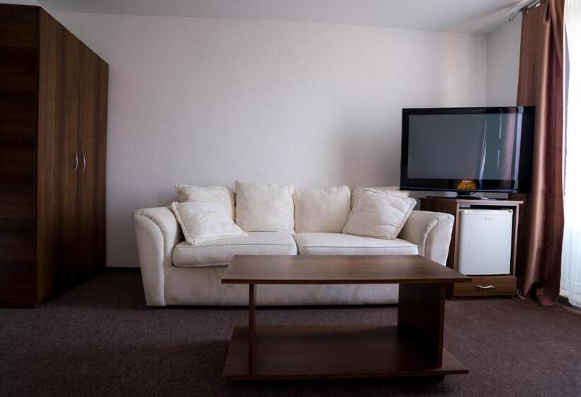 ホテル Pensiunea Dacia Deva