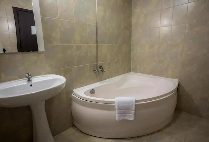 Hotel Pensiunea Dacia Deva