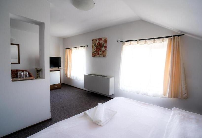 ホテル Pensiunea Dacia Deva