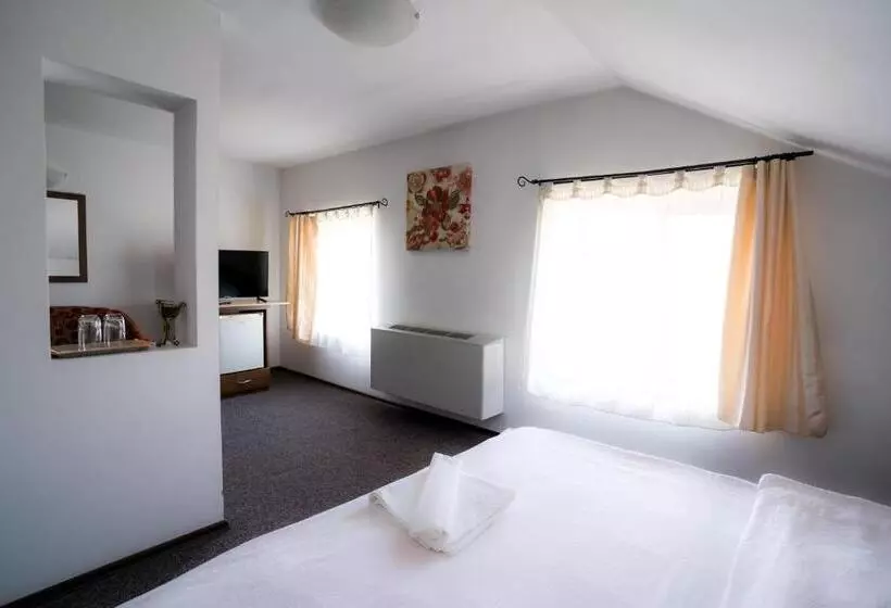 Hotel Pensiunea Dacia Deva