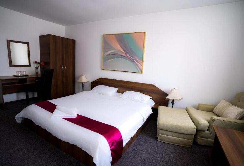 ホテル Pensiunea Dacia Deva