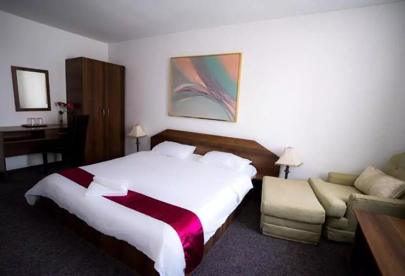 Hotel Pensiunea Dacia Deva