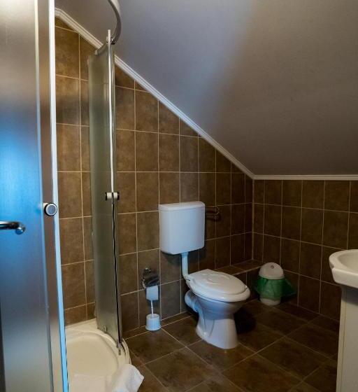 ホテル Pensiunea Dacia Deva