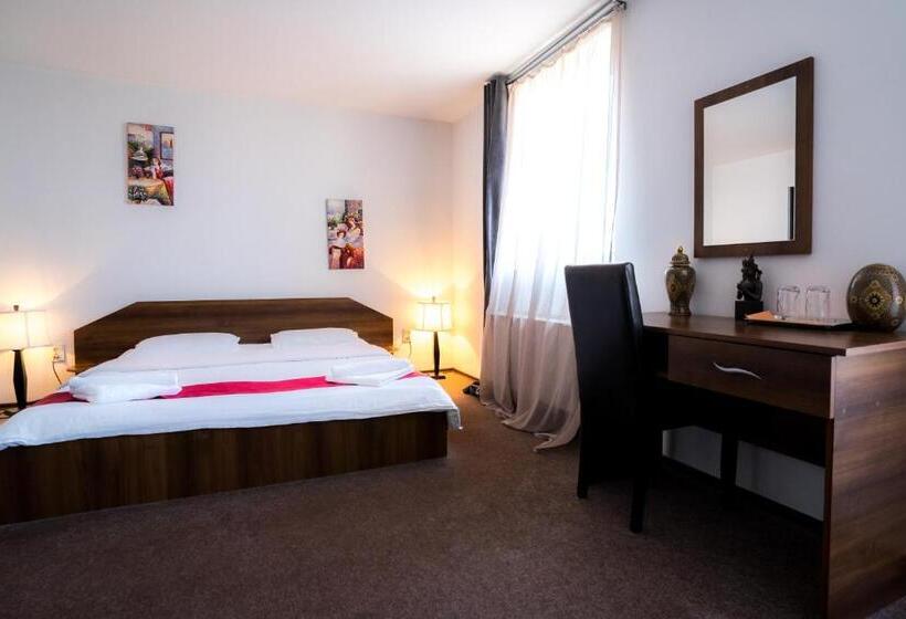 ホテル Pensiunea Dacia Deva