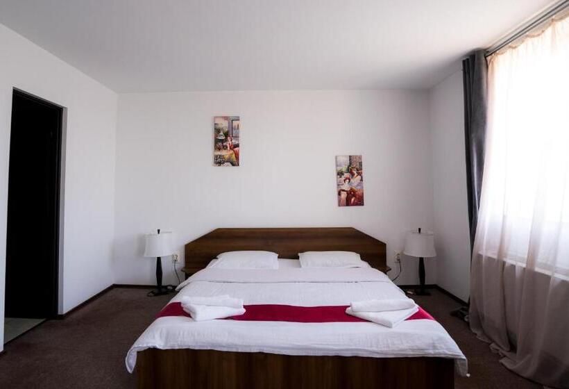 ホテル Pensiunea Dacia Deva