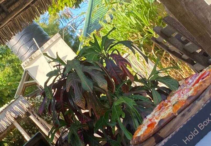 酒店 Shamba Village