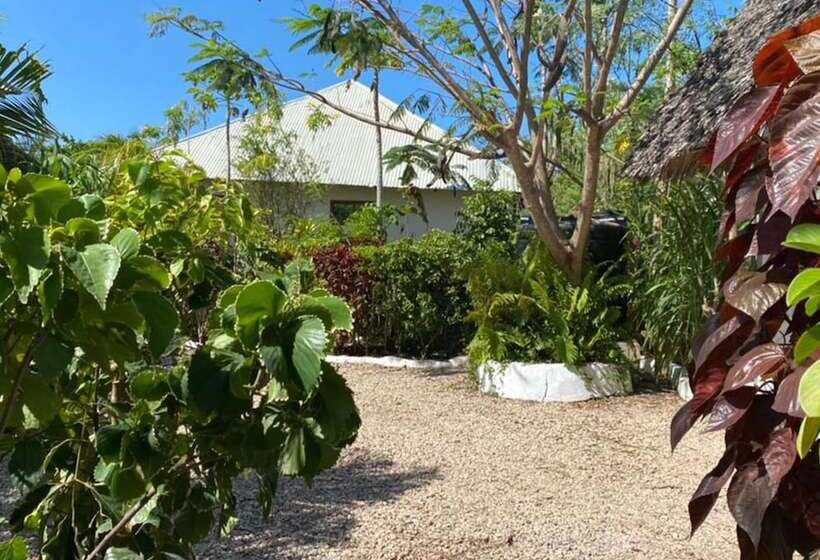 酒店 Shamba Village