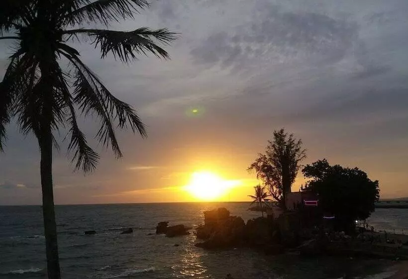 پانسیون Le Tram Guest House