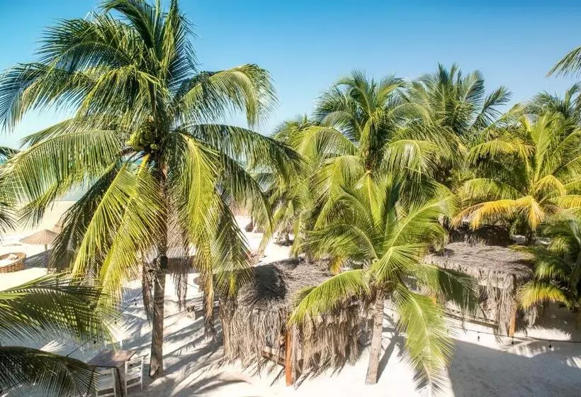 Casa Las Tortugas Petit Beach Hotel & Spa