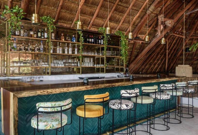 Casa Las Tortugas Petit Beach Hotel & Spa