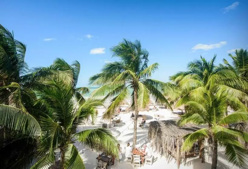 Casa Las Tortugas Petit Beach Hotel & Spa