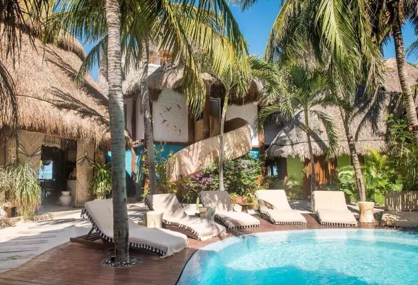 Casa Las Tortugas Petit Beach Hotel & Spa