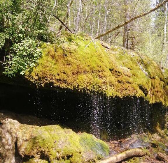 בית מלון כפרי Am Kurpark