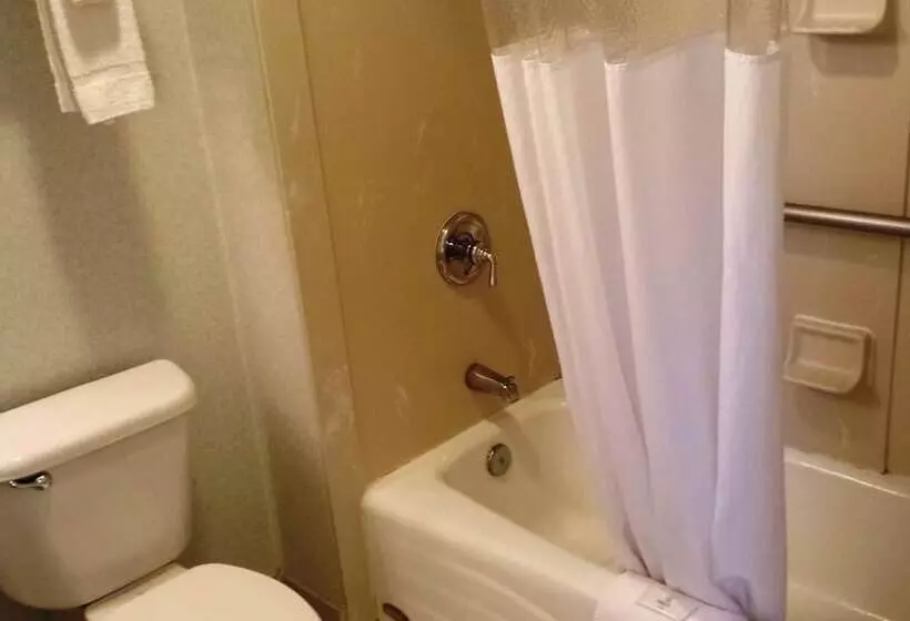 בית מלון כפרי Cocoa Beach Suites