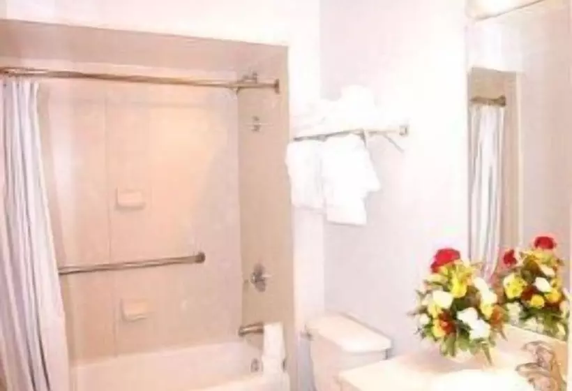 בית מלון כפרי Cocoa Beach Suites