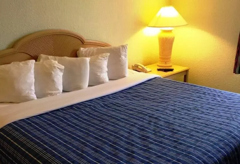 בית מלון כפרי Cocoa Beach Suites