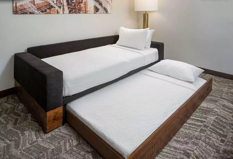 호텔 Sonesta Select Nashville Airport Suites