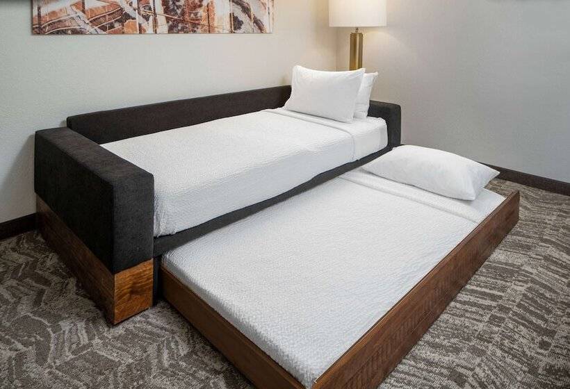 فندق Sonesta Select Nashville Airport Suites