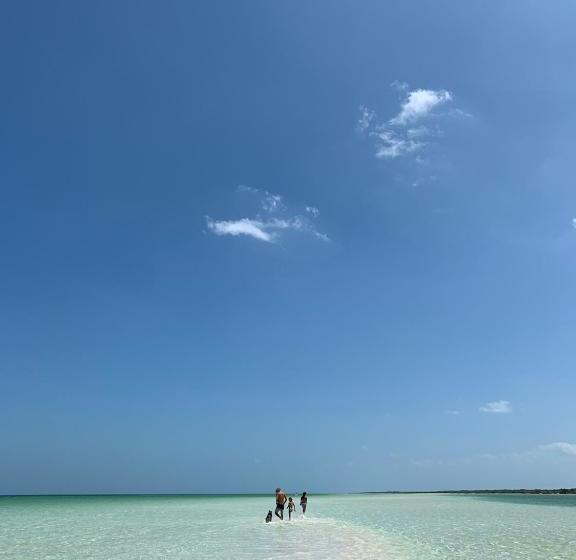 Casa Las Tortugas Petit Beach Hotel & Spa