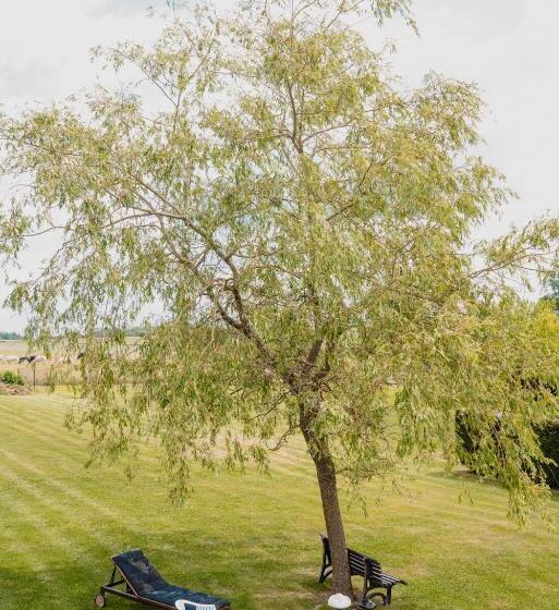 هتل & Restaurant Maison Pal Ange