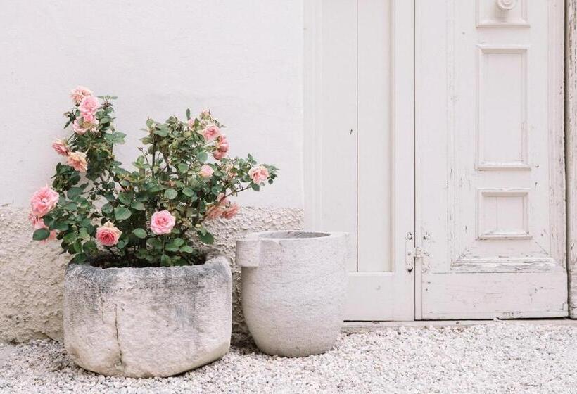 پانسیون Casazavi