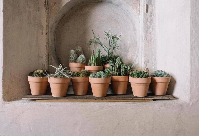 پانسیون Casazavi