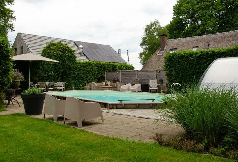 Bed And Breakfast Bedstay Op 8