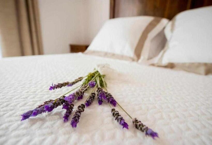 تختخواب و صبحانه Bolet Casa Modernista