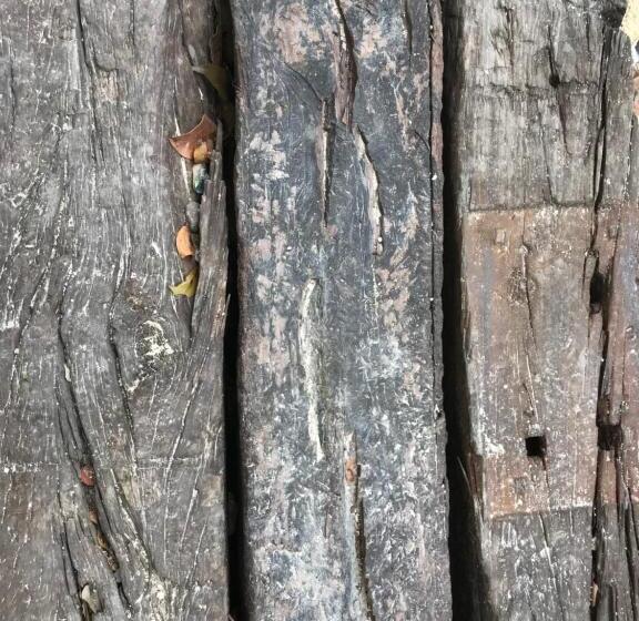 مبيت وإفطار Verdeamar Eco Lodge Jungle Retreat