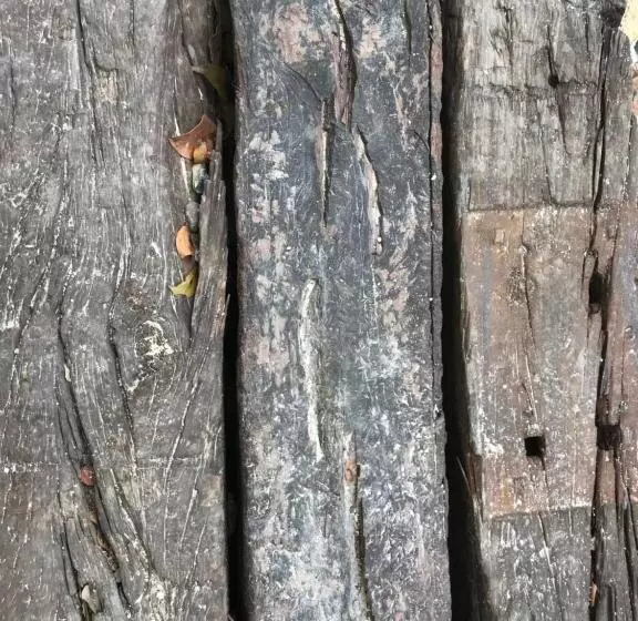 تختخواب و صبحانه Verdeamar Eco Lodge Jungle Retreat