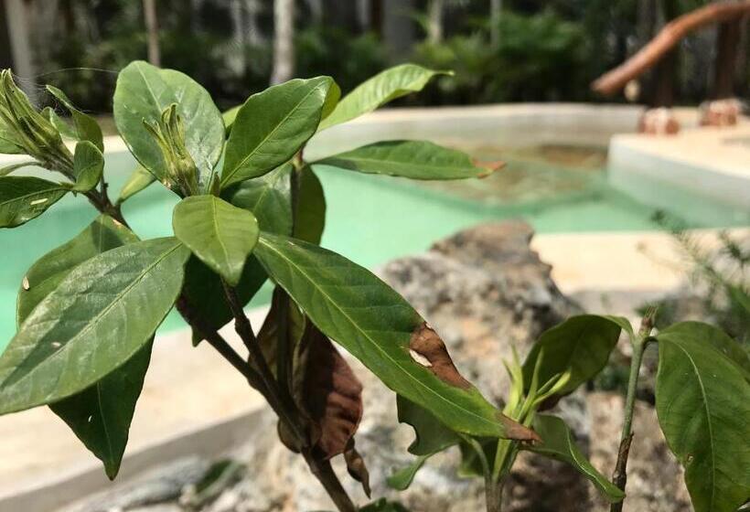 مبيت وإفطار Verdeamar Eco Lodge Jungle Retreat