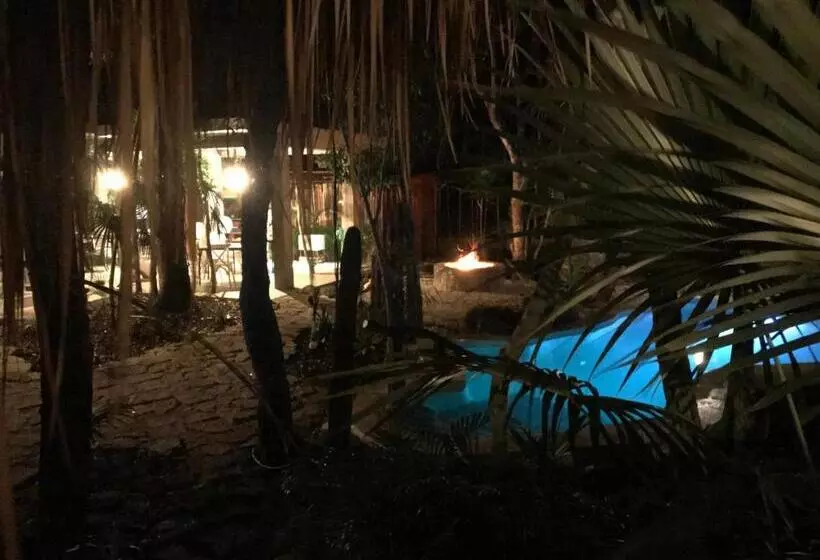 تختخواب و صبحانه Verdeamar Eco Lodge Jungle Retreat