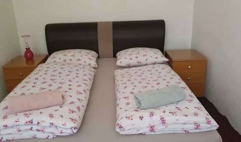 Hostel T&m