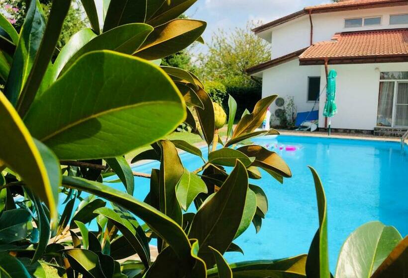 פנסיון Villa Nymphea Water Lily