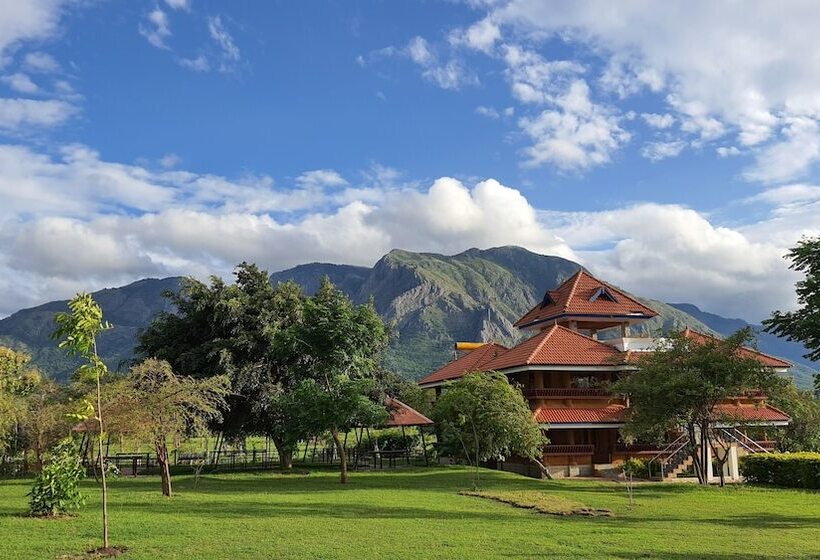 Resort Avadale Masinagudi   Stag Groups Not Allowed