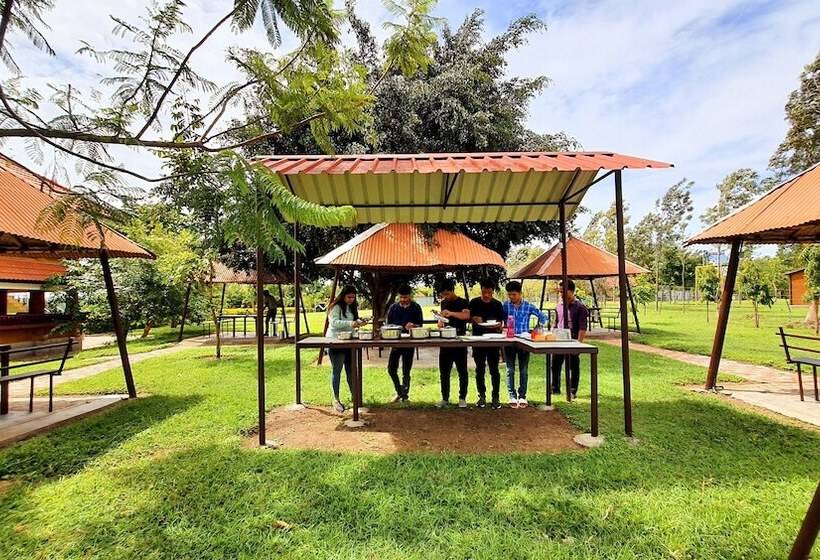 Resort Avadale Masinagudi   Stag Groups Not Allowed