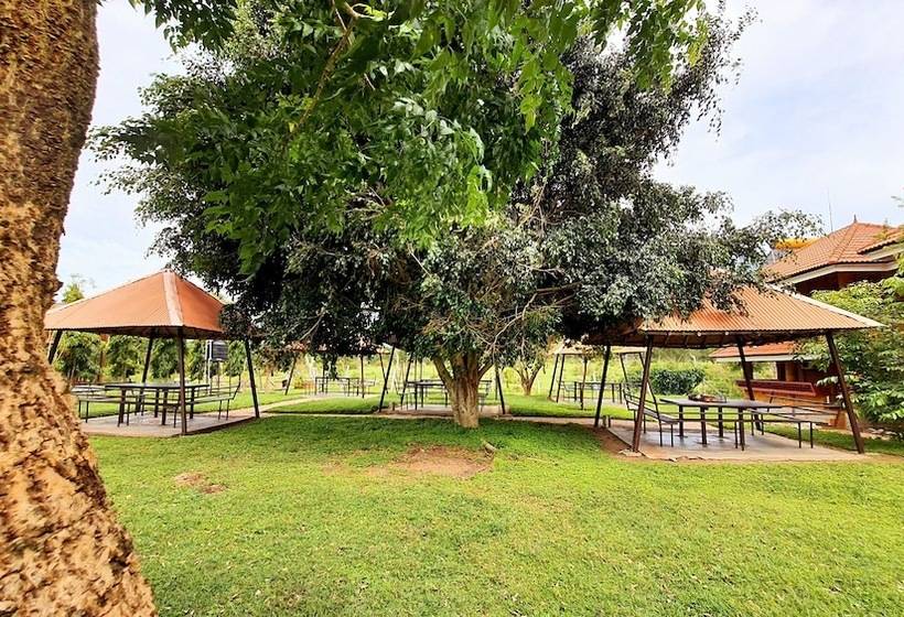 Resort Avadale Masinagudi   Stag Groups Not Allowed