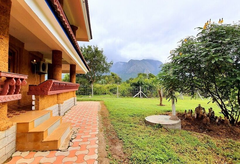 Resort Avadale Masinagudi   Stag Groups Not Allowed