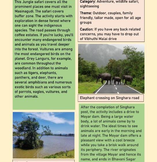 Resort Avadale Masinagudi   Stag Groups Not Allowed